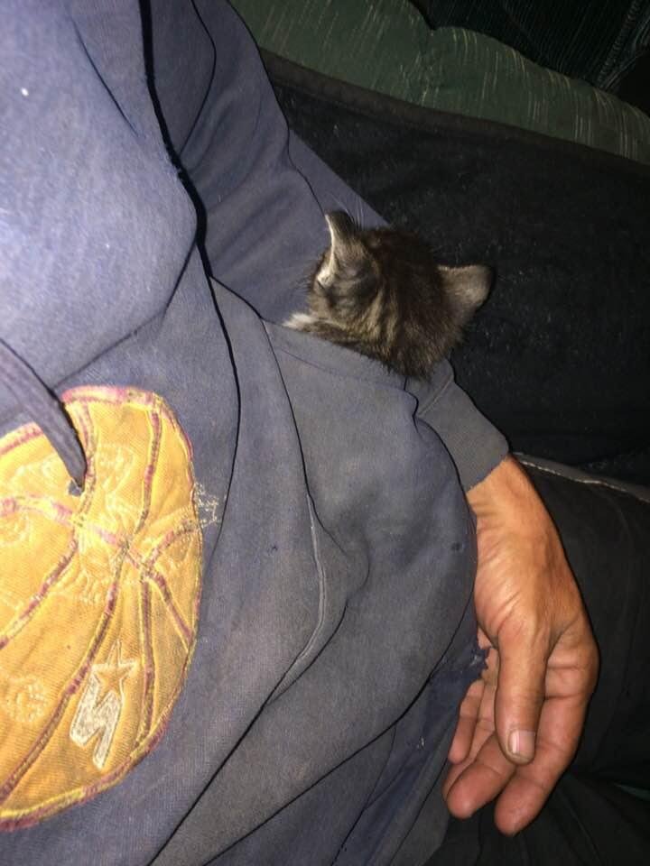 Baby found his new nap spot