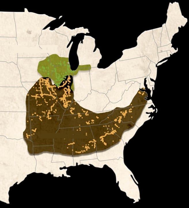Graphic showing areas of this year's broods.
Not in the Leesburg area. Robb Spewak you may not be able to eat them this year