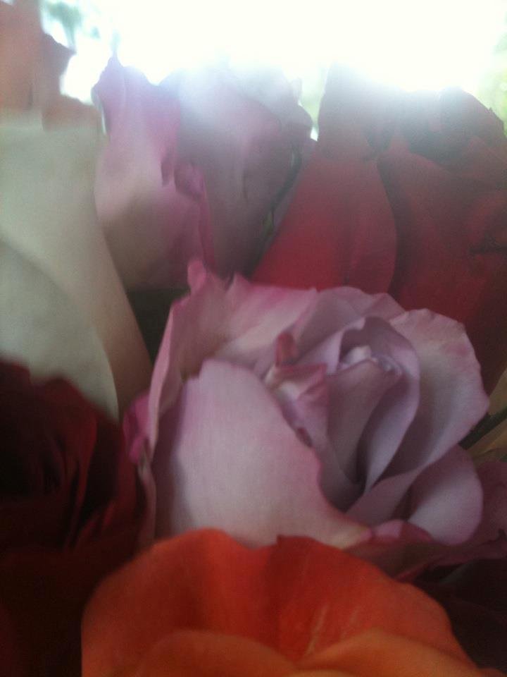 More roses how sweet !