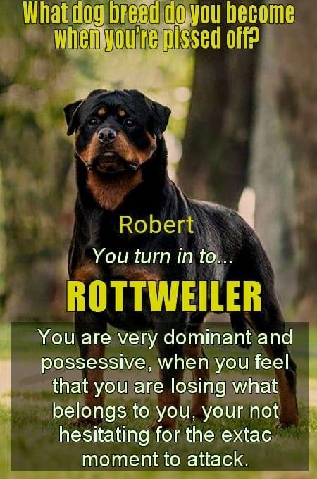 Robert Ritter's album, Timeline Photos
