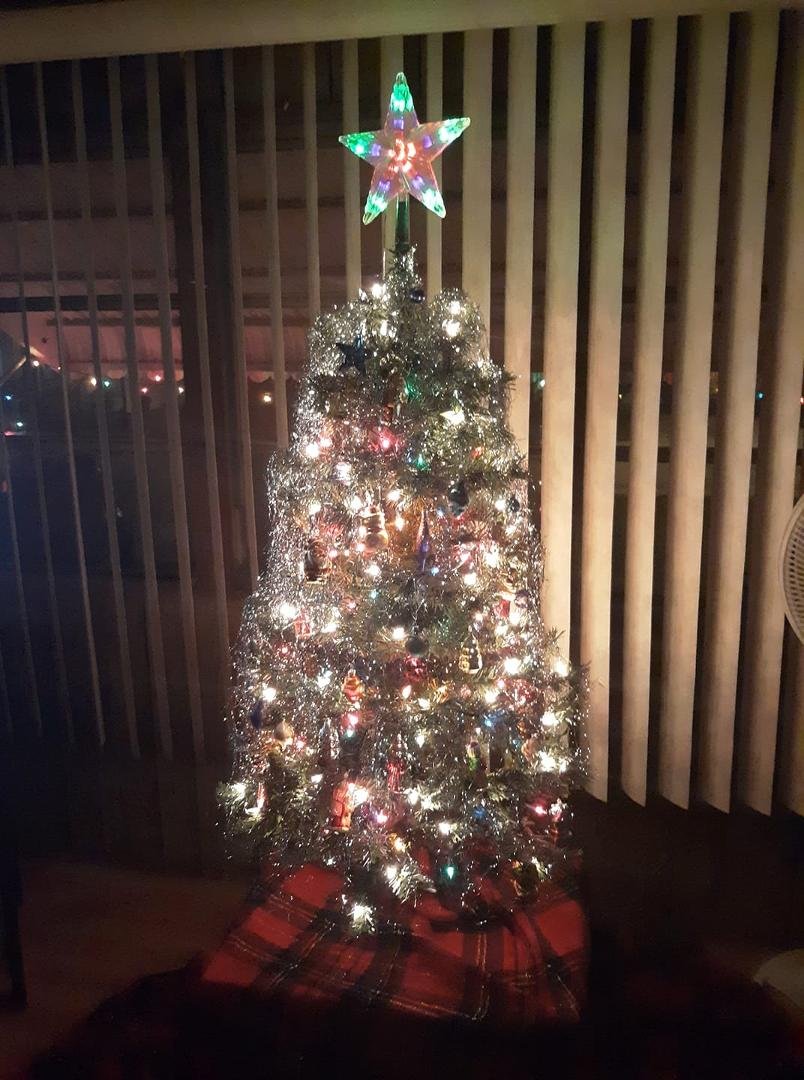 Tree is up,outside lights are up