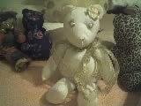 Dave Linstrot's album, Michele's Bears