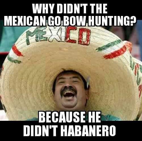Ay Chihuahua !!