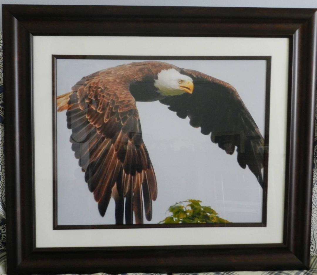 This is Jody's picture she so kindly let me download. I had it blown up to 16 x 24". I had it matted and framed, and this is how it looks!!! Amazing, huh??