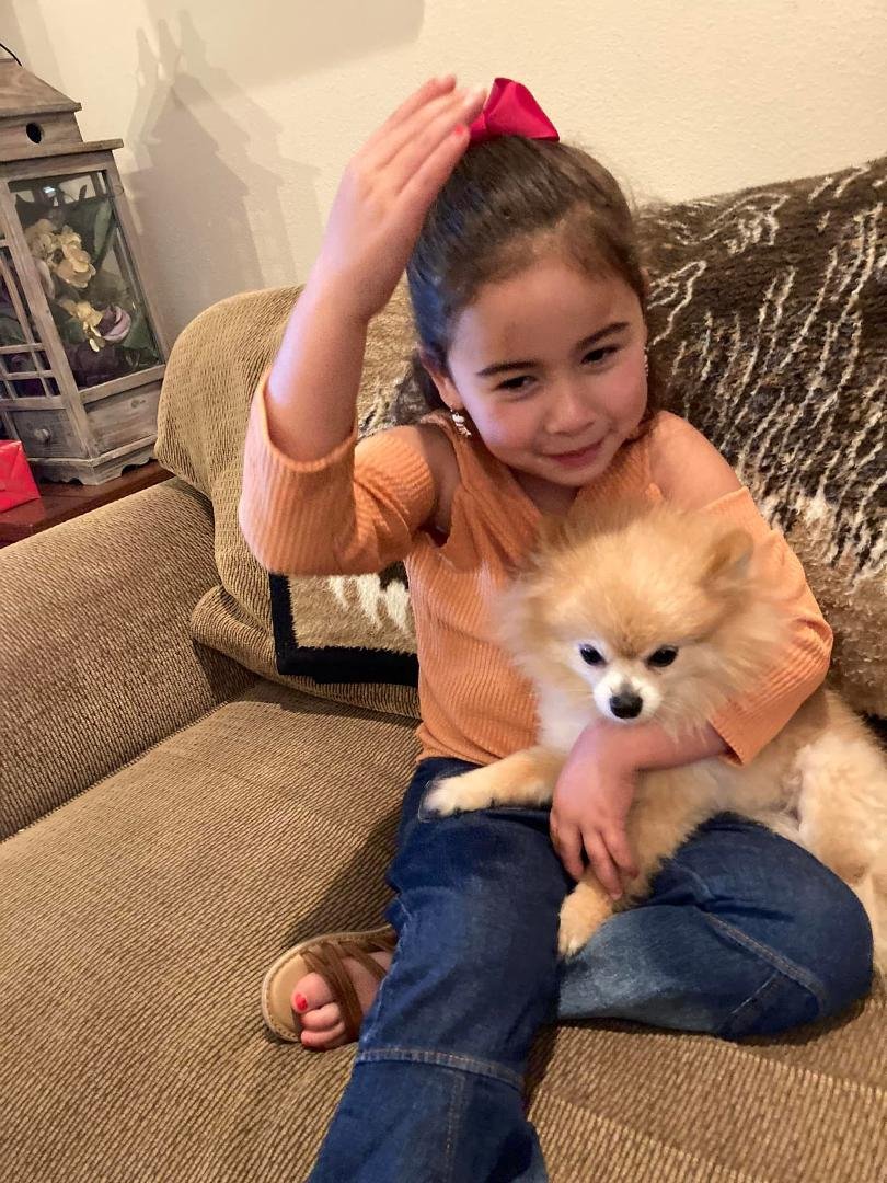 Miss Maddie and Gilly at Christmas