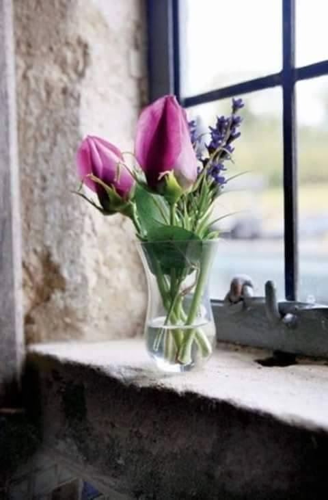 Good morning!