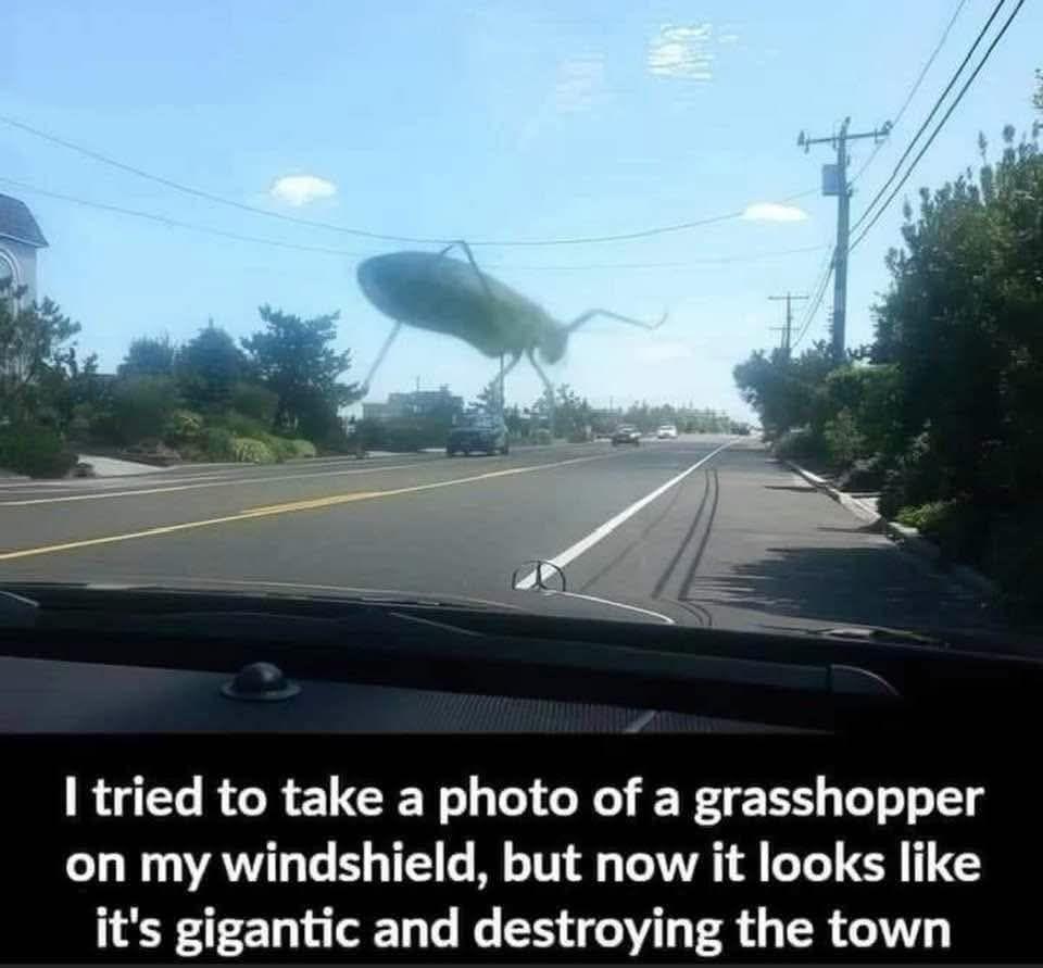 I thought it was a giant blimp in the distance, not a bug on the windshield! 😀