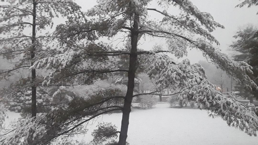 First 2020 snow