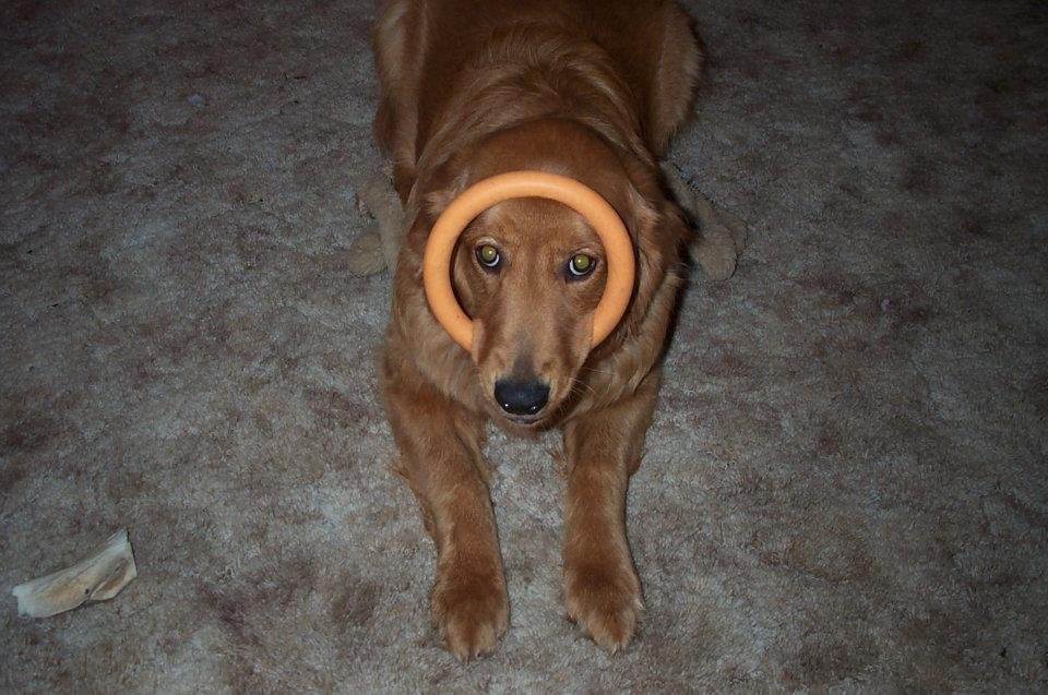 Brandy being Brandy