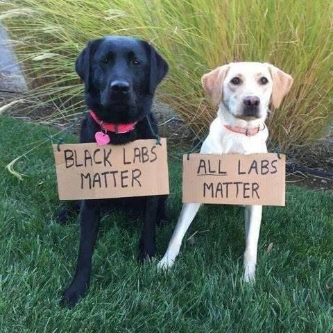 Jay Rudko's album, Timeline Photos