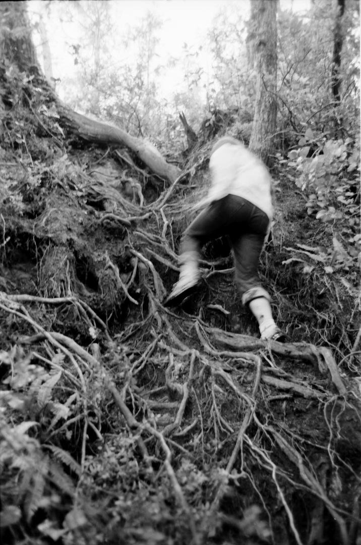 Part of the trail included climbing trees