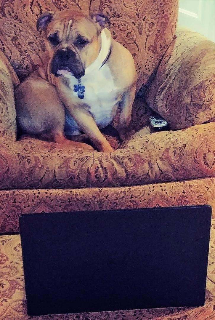 Brody watching his laptop