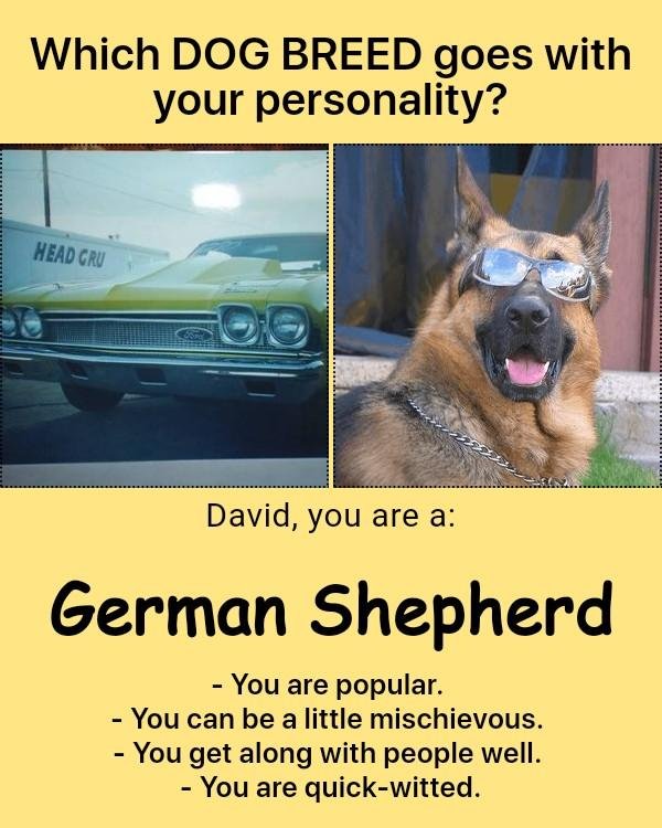 David Ostrander's album, Timeline Photos