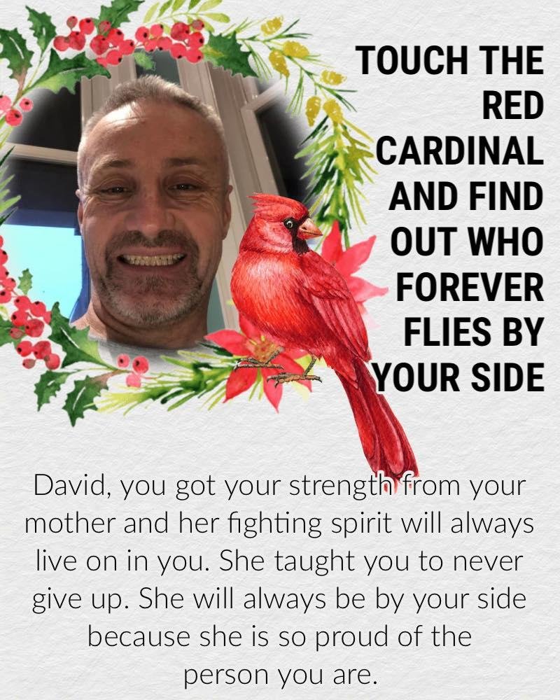 David Bohan's album, Timeline photos