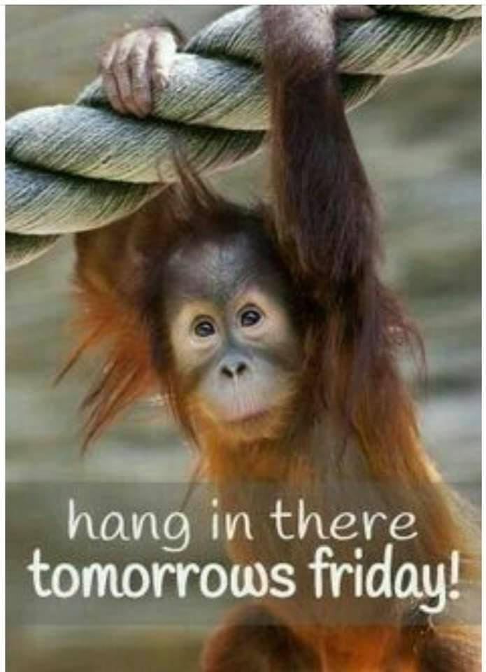 Have a great day