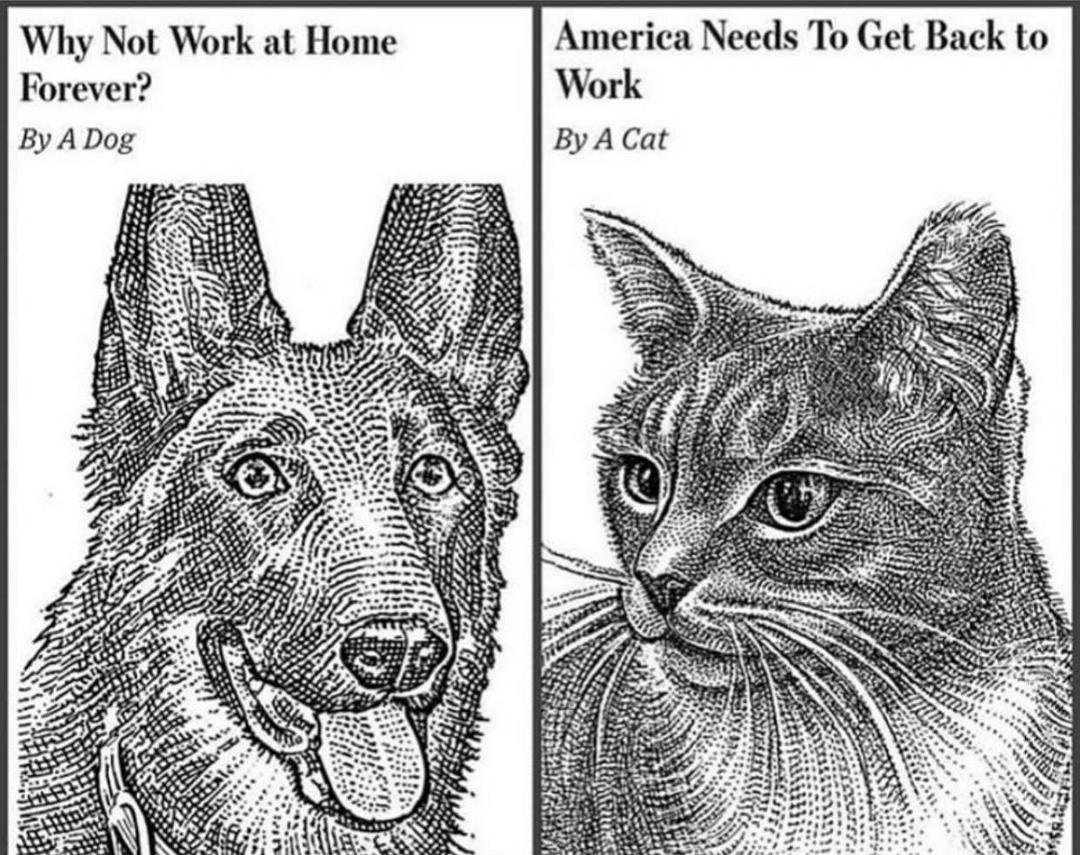 We finally have the definitive differences between Cats & Dogs. Scientific evidence that cannot be refuted!!