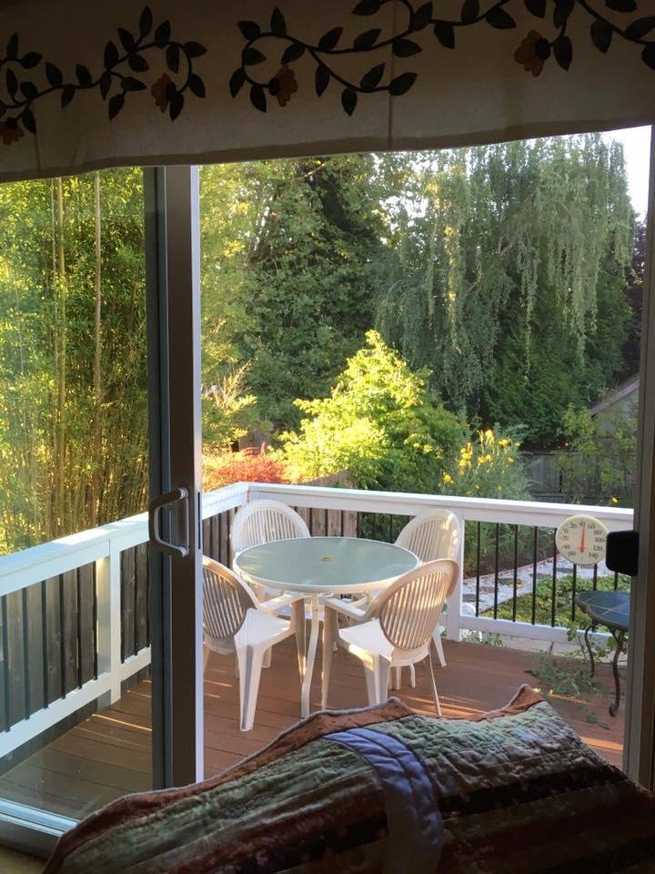 The view out my window this morning; all those lovely shades of green.
