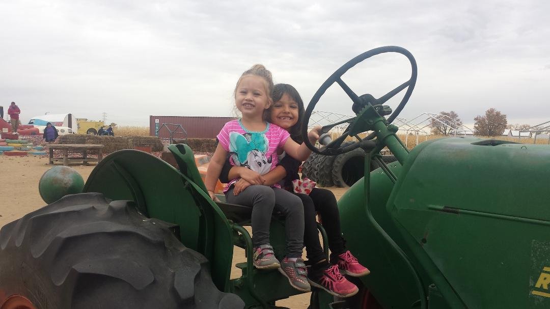 Miller farms