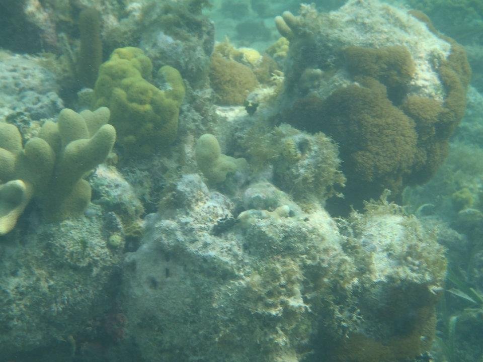 John Derbin's album, Cayman 2012