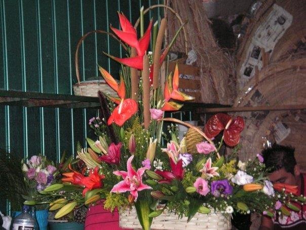 Theresa Riley's album, Mexico