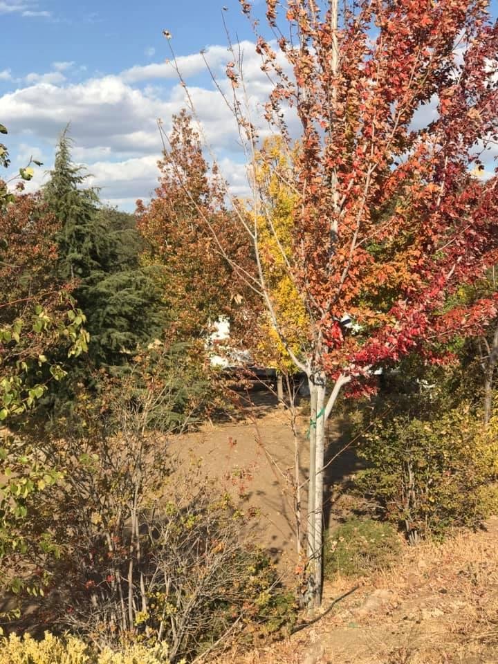 It's Fall, my favorite season