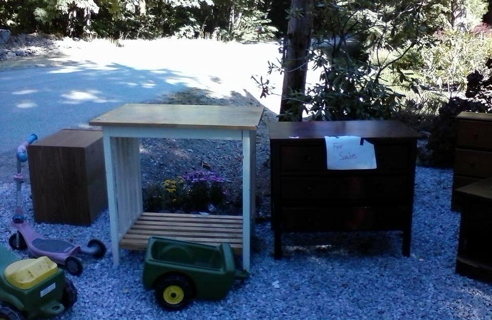 Sharon Hollibaugh's album, Mobile Uploads