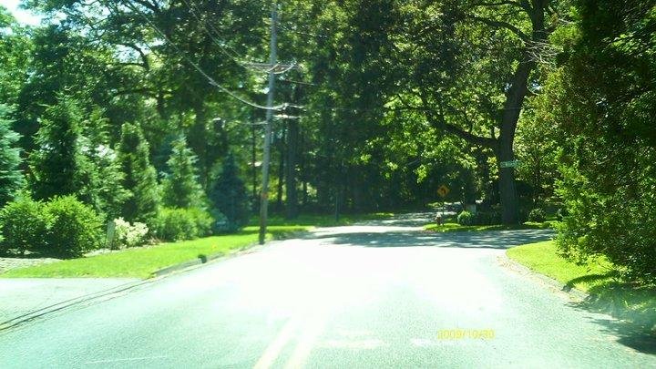 Jonathan Eddy's album, Wellesley Farms to Wellesley Fells via Wellesley Hills without using Rt 9.