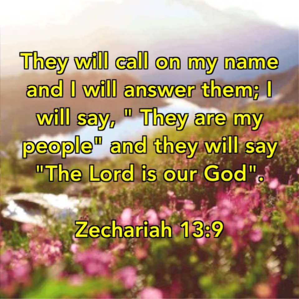 Gloria Salvagio's album, Timeline photos