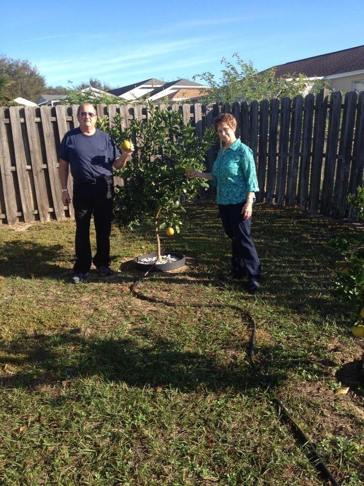 Pickens oranges with good friend Fred