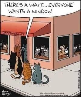 Kenneth Mackay's album, Timeline photos