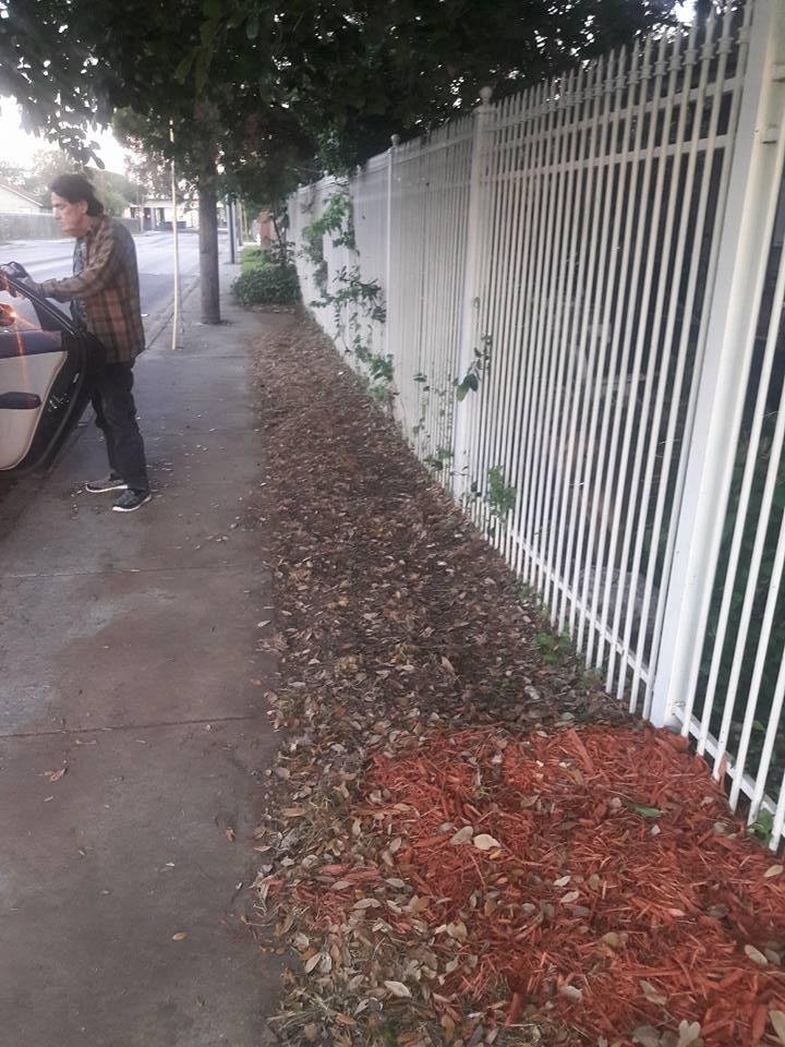 Carlos Rodriguez's album, Mobile Uploads