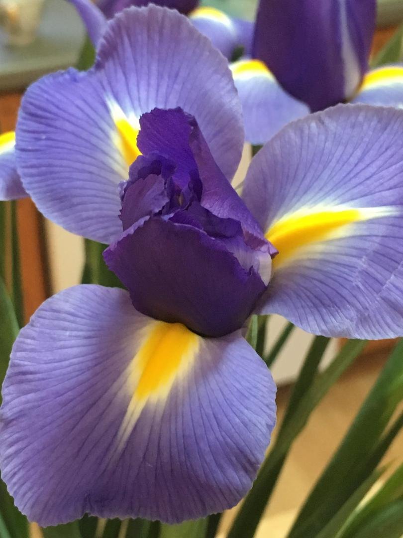 Rita Wilson's album, Timeline Photos