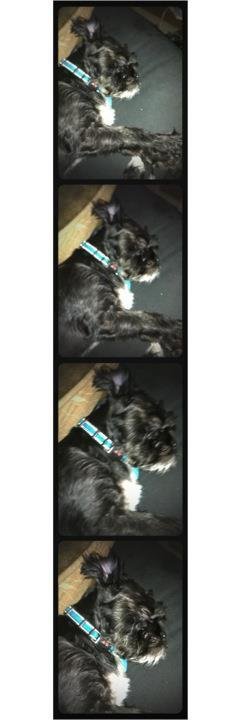 From the photobooth in my pocket: Pocketbooth. (10/3/11 23:19 PM)