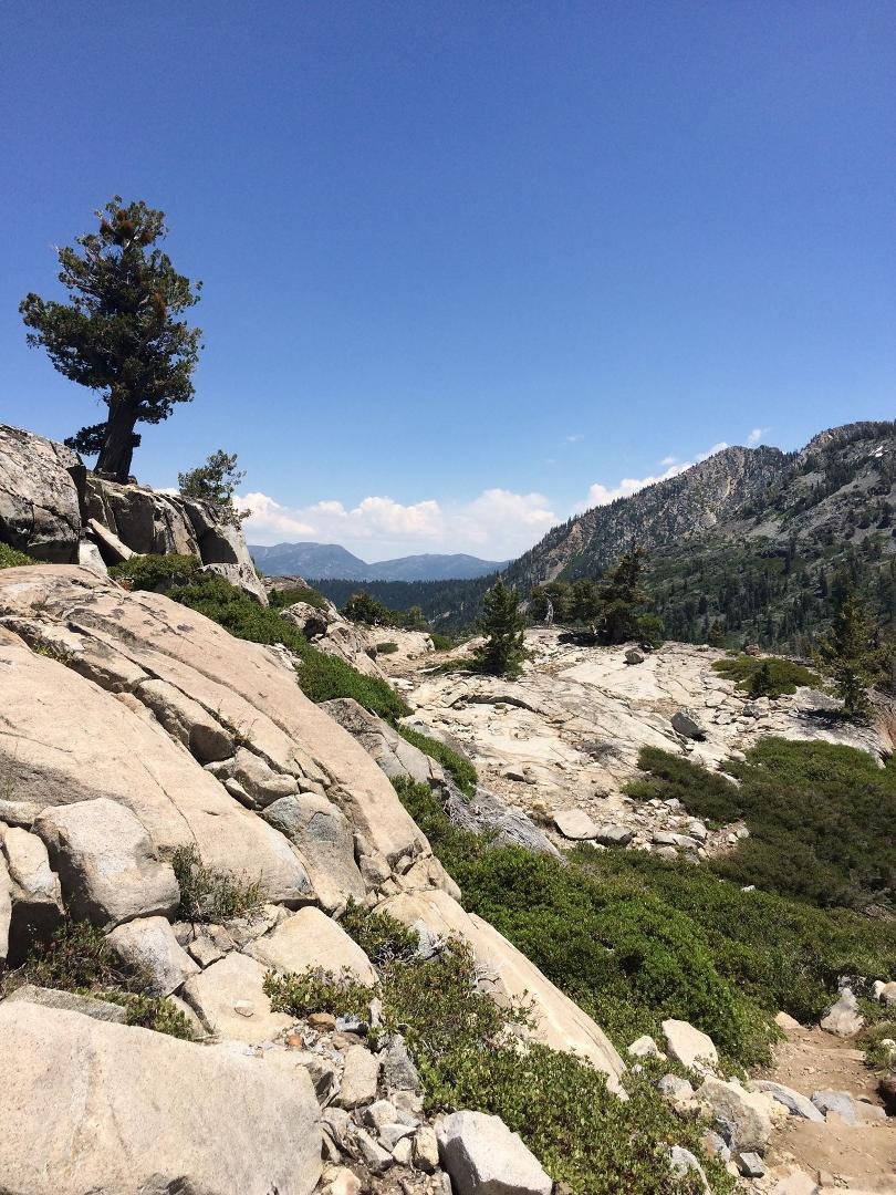 Keith Whitaker's album, Mobile Uploads