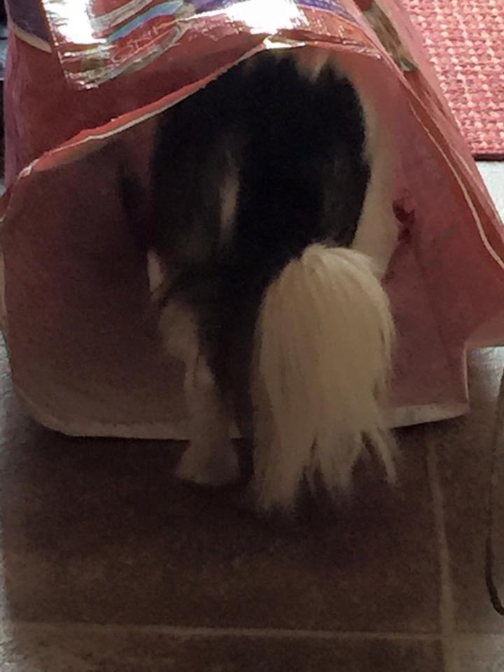 When you want to get every last crumb