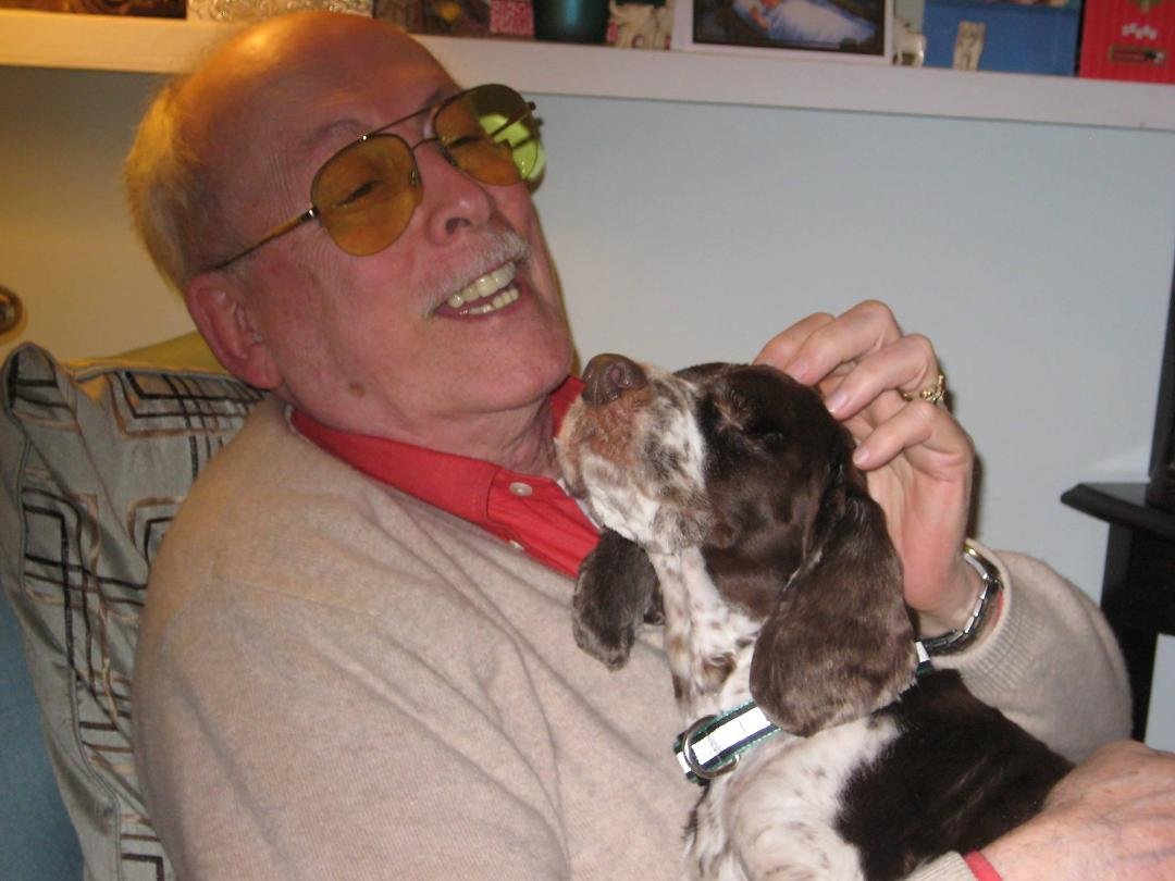 Lucy went to Doggy Heaven today. Lucy was a smallish Springer Spaniel who had her eyes surgically removed at some point prior to our meeting, had gotten lost, and had survived the cruel world for maybe 18 months (purely a
