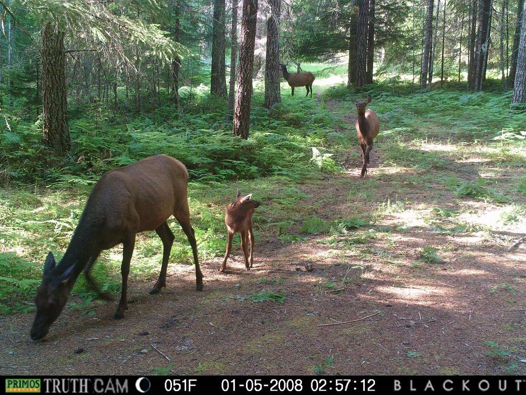 Mama and her baby...
