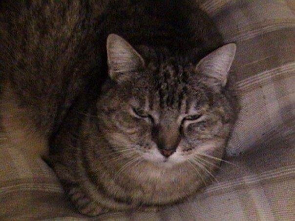 Coleman "Tommy" Randall's album, Timeline photos