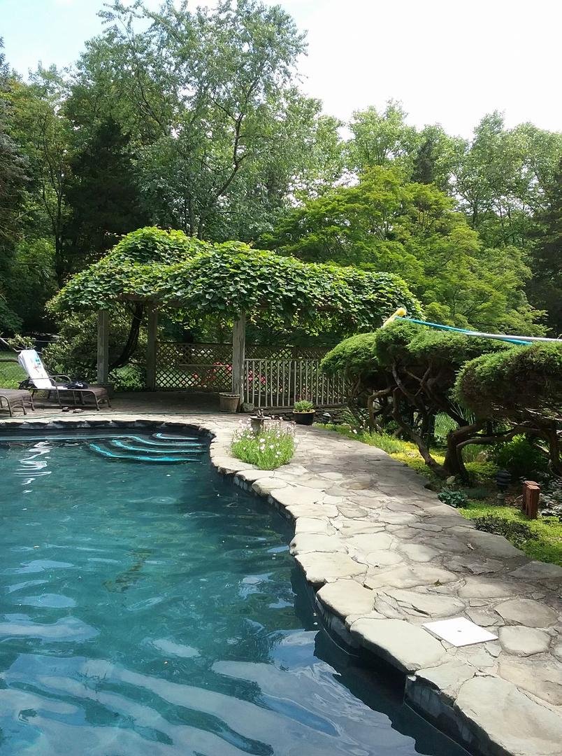 My niece's beautiful back yard.