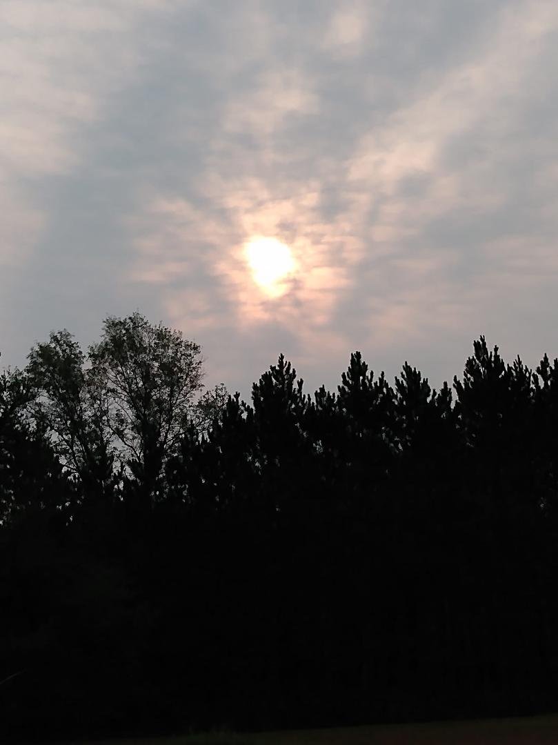 Morning sun