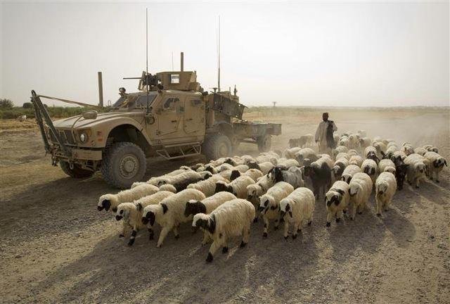 Breaking News: US Army rescues ISIS sex slaves.