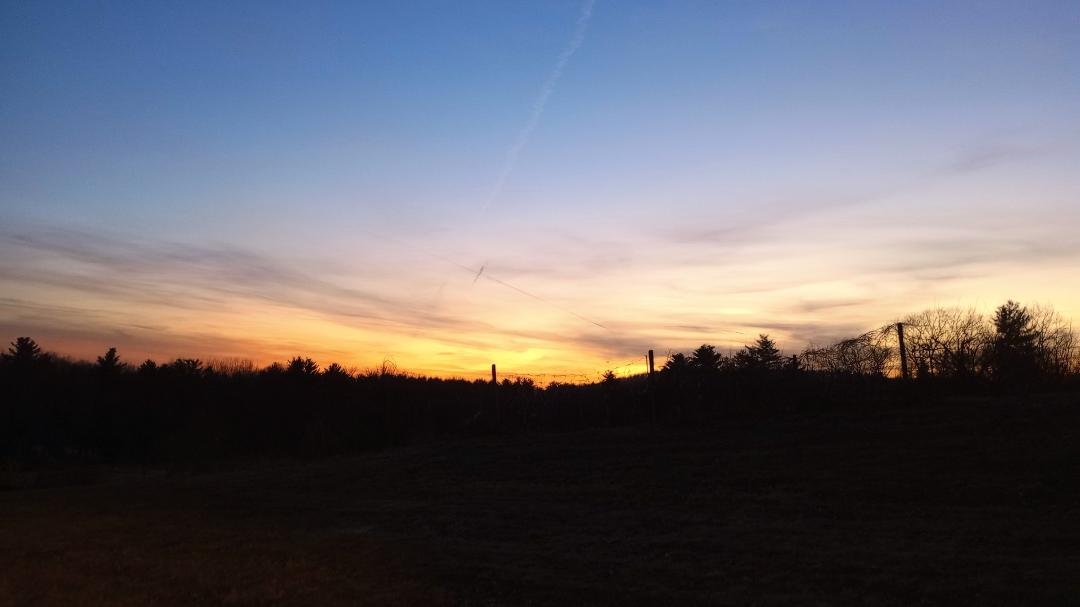 Thomas Small's album, Timeline photos