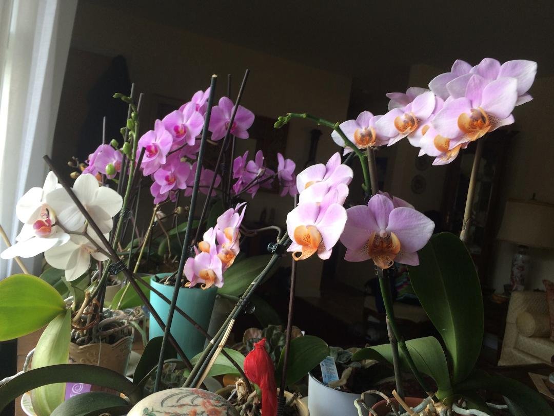 Lonna Treichler's album, Timeline Photos
