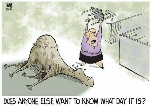 What time of day did this happen?