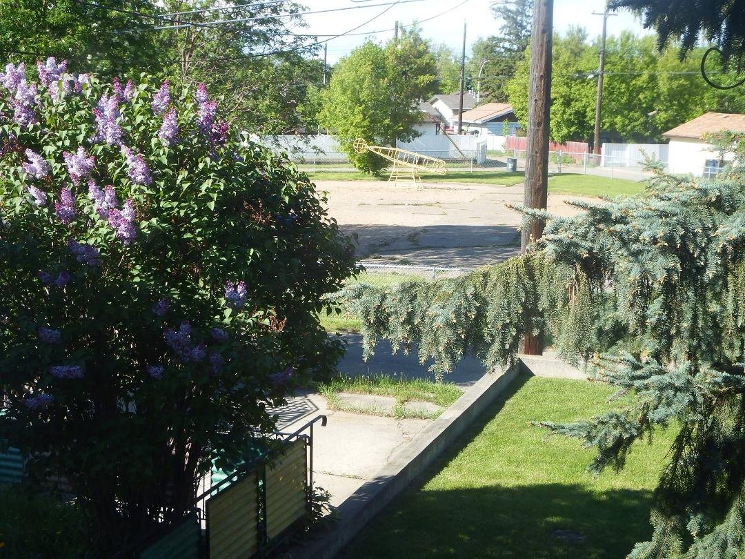 Playground to the north of the house framed by the neighbour's lilacs.