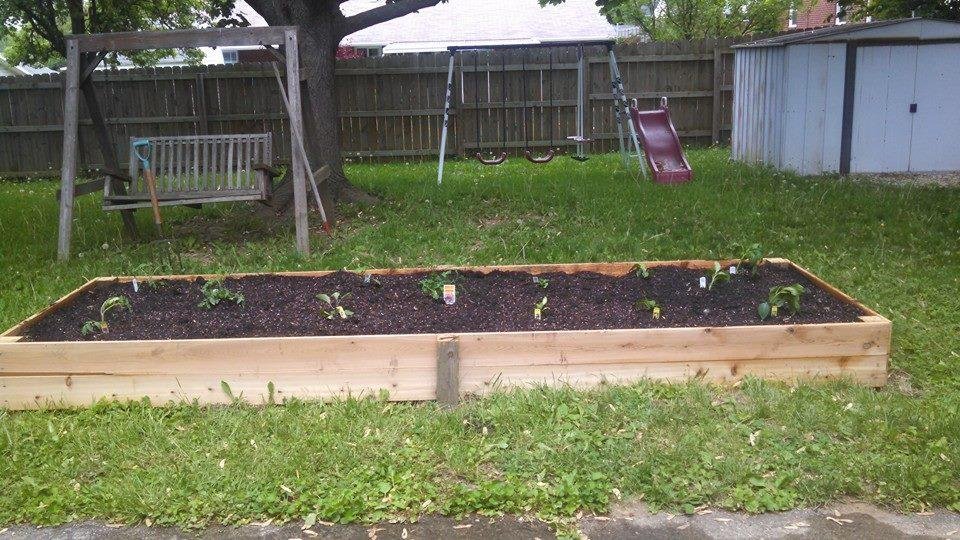 Garden, phase 4