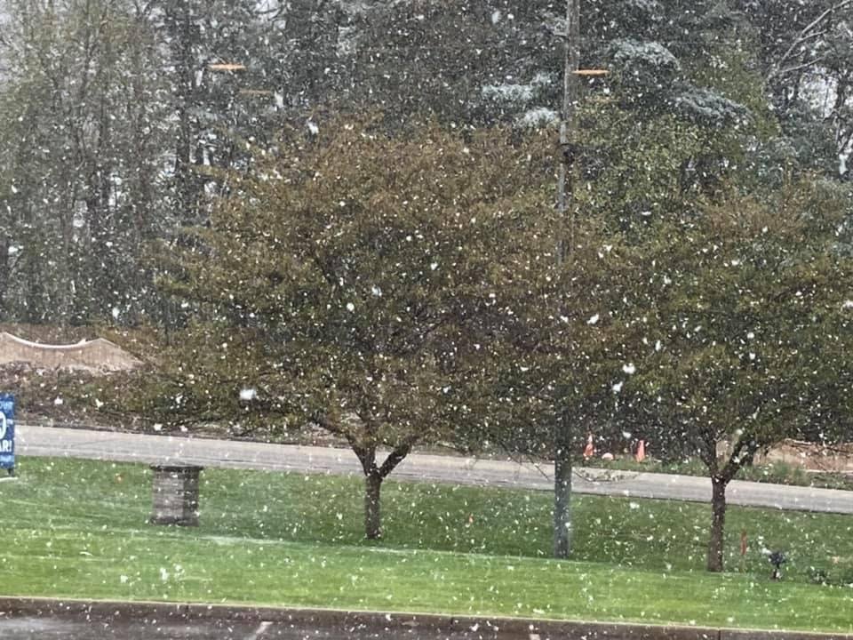 Hopefully the last snow of the season.