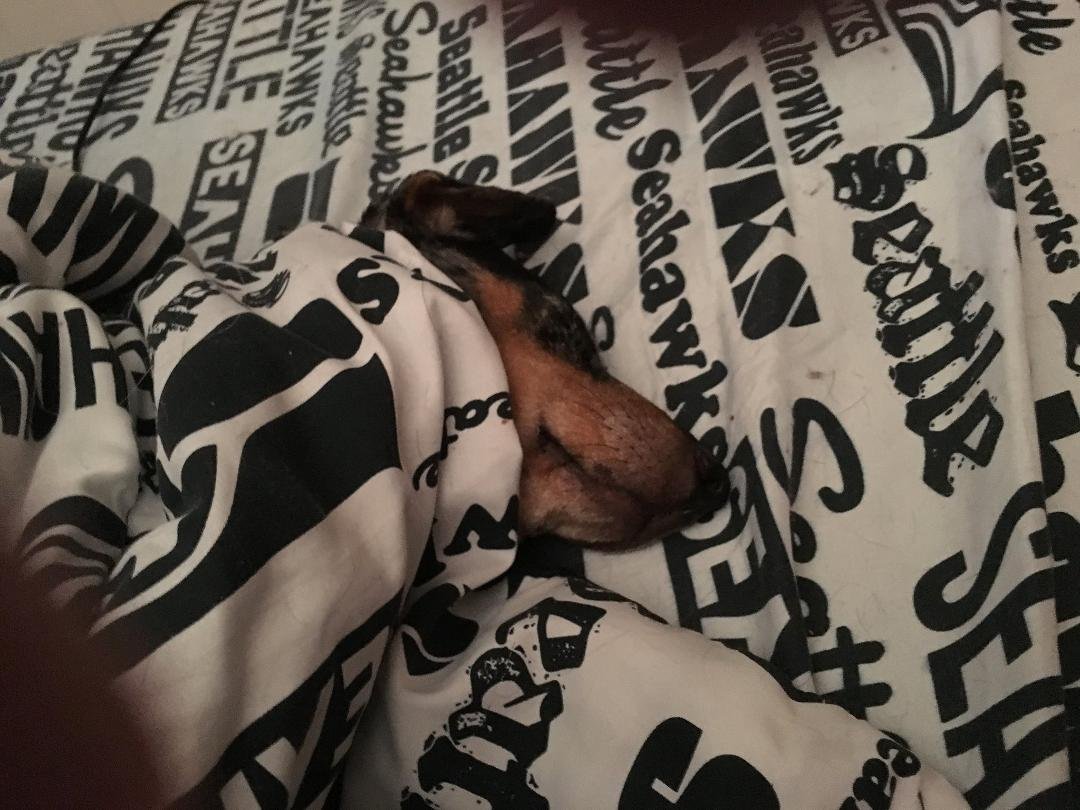 Mini bed take over !!!