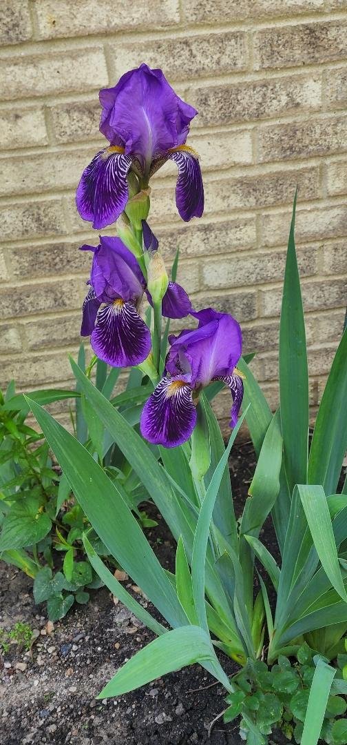 Jan Zalewski's album, Timeline photos