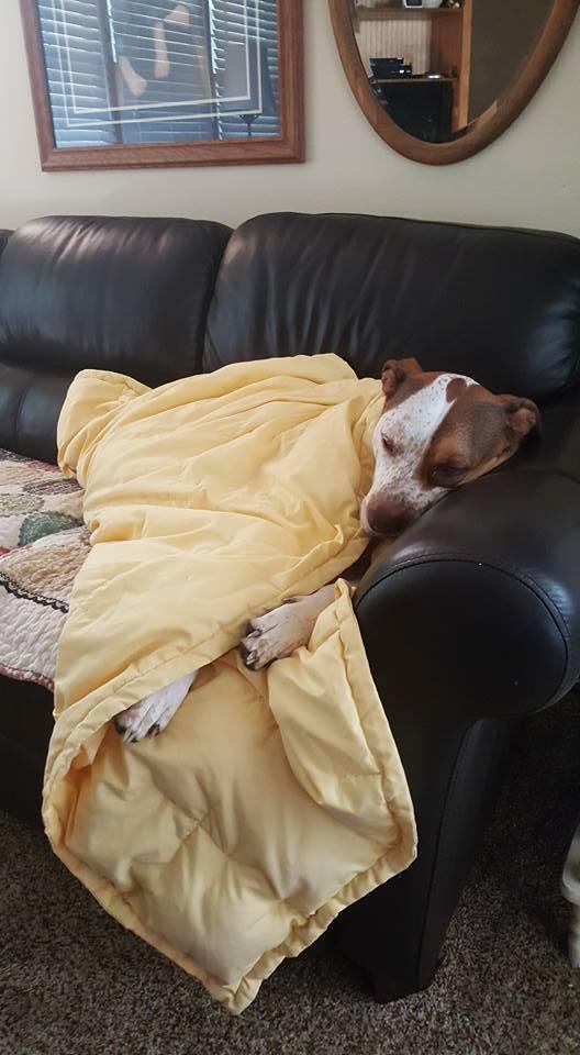 Time for my morning nap